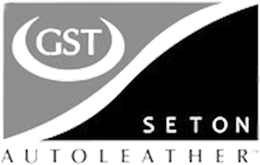 Logotipo empresa industrial seton, mantenimiento industrial-asteclub
